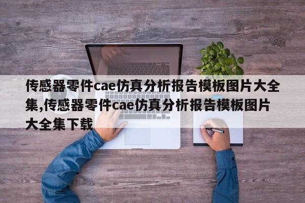传感器零件cae仿真分析报告模板图片大全集,传感器零件cae仿真分析报告模板图片大全集下载