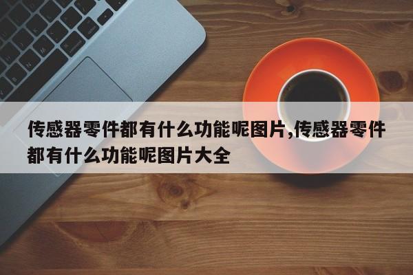 传感器零件都有什么功能呢图片,传感器零件都有什么功能呢图片大全