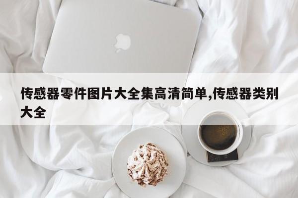 传感器零件图片大全集高清简单,传感器类别大全