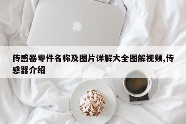传感器零件名称及图片详解大全图解视频,传感器介绍