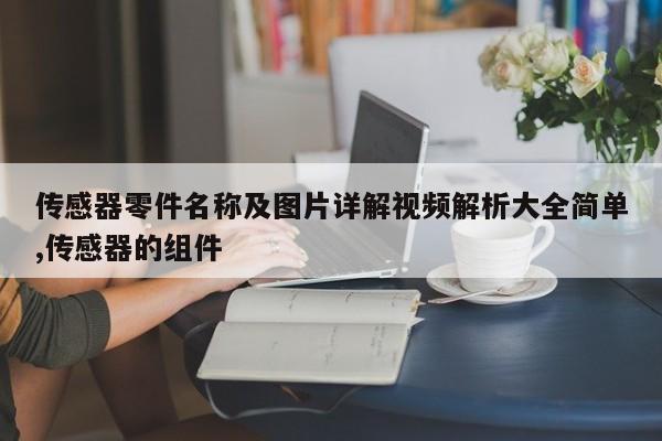 传感器零件名称及图片详解视频解析大全简单,传感器的组件
