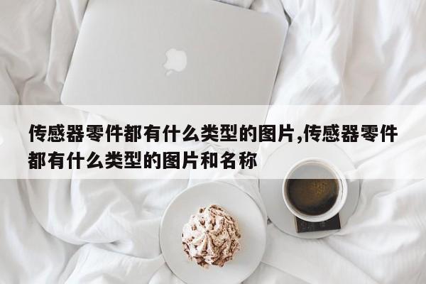 传感器零件都有什么类型的图片,传感器零件都有什么类型的图片和名称