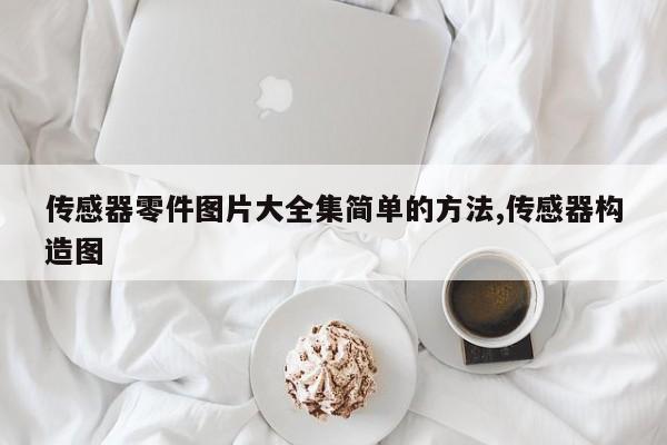 传感器零件图片大全集简单的方法,传感器构造图