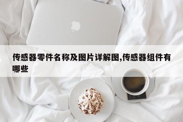 传感器零件名称及图片详解图,传感器组件有哪些