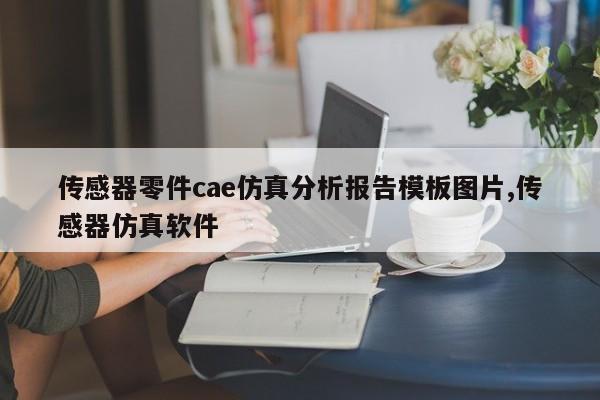 传感器零件cae仿真分析报告模板图片,传感器仿真软件