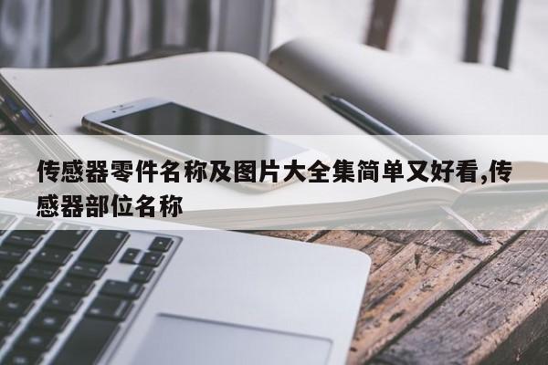 传感器零件名称及图片大全集简单又好看,传感器部位名称
