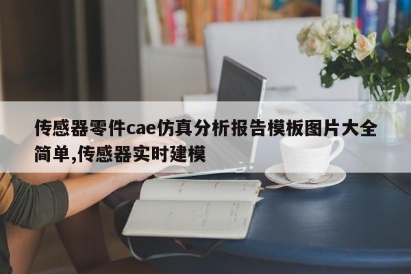 传感器零件cae仿真分析报告模板图片大全简单,传感器实时建模